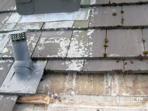 Sturmschäden und Hagelschäden